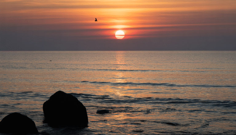 Sunset over the ocean with orange and pink sky, rocks and flying birds